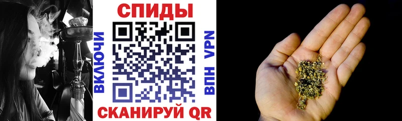 MEGA ТОР  Дмитров  Бутират 1.4BDO 