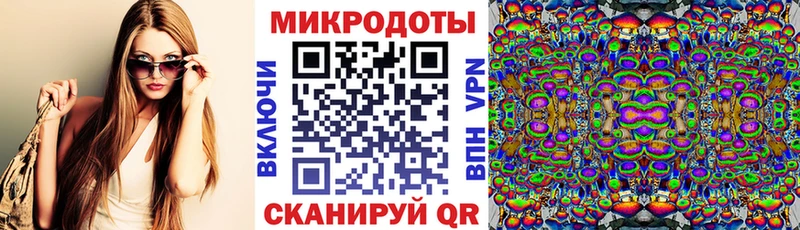закладка  mega   Галлюциногенные грибы MAGIC MUSHROOMS  Дмитров 